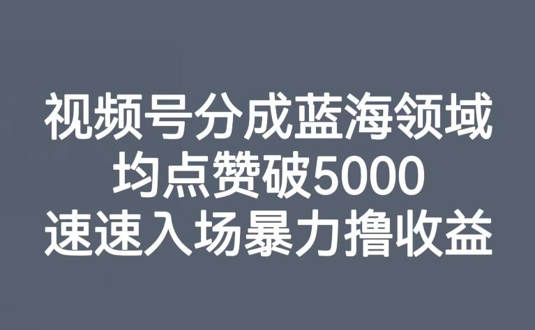 视频号分成蓝海领域，均点赞破5000，速速入场暴力撸收益-瀚洪创业网