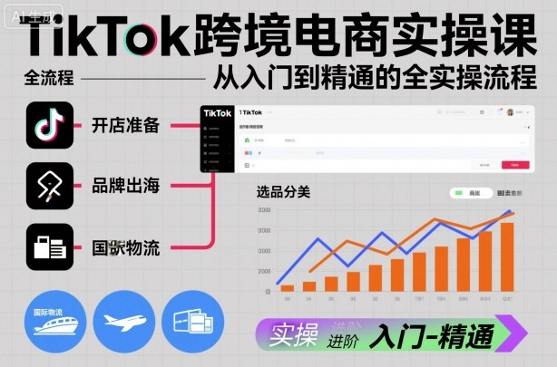 TikTok跨境电商实操课，从入门到精通的全实操流程-瀚洪创业网