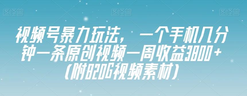 视频号暴力玩法，一个手机几分钟一条原创视频一周收益3800+（附820G视频素材）-瀚洪创业网