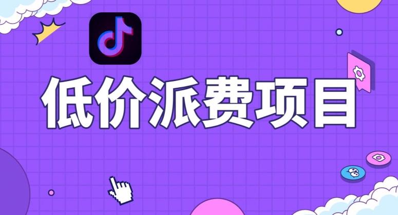 抖音低价派单项目，0门槛，日入1000+很轻松，小白可操作【揭秘】-瀚洪创业网