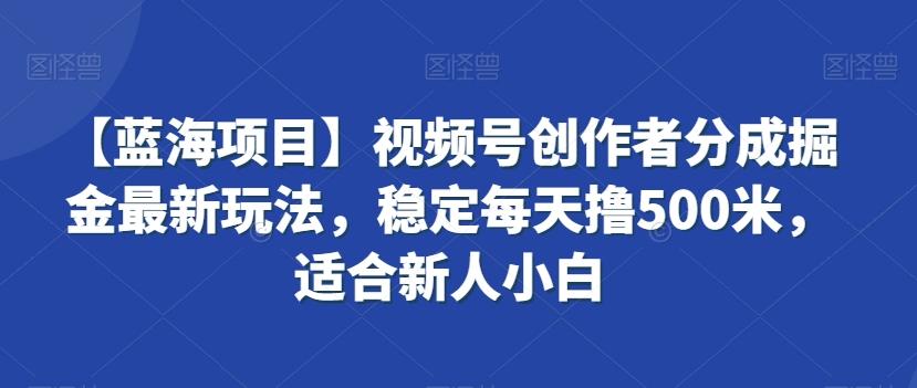 【蓝海项目】视频号创作者分成掘金最新玩法，稳定每天撸500米，适合新人小白【揭秘】-瀚洪创业网