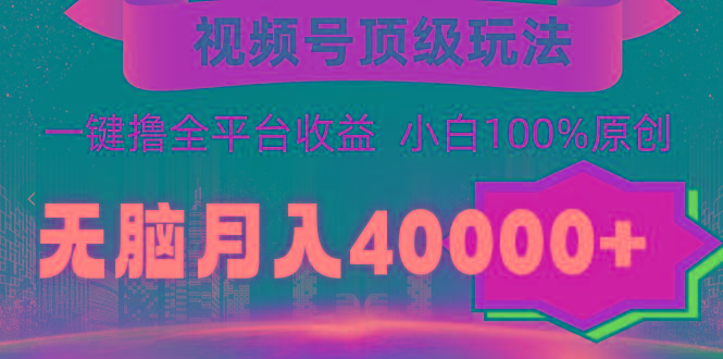 (9281期)视频号顶级玩法，无脑月入40000+，一键撸全平台收益，纯小白也能100%原创-瀚洪创业网