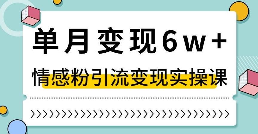 单月变现6W+，抖音情感粉引流变现实操课，小白可做，轻松上手，独家赛道【揭秘】-瀚洪创业网