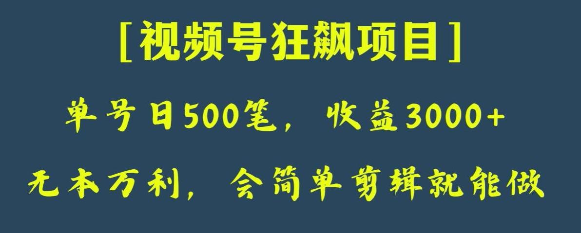 日收款500笔，纯利润3000+，视频号狂飙项目，会简单剪辑就能做【揭秘】-瀚洪创业网