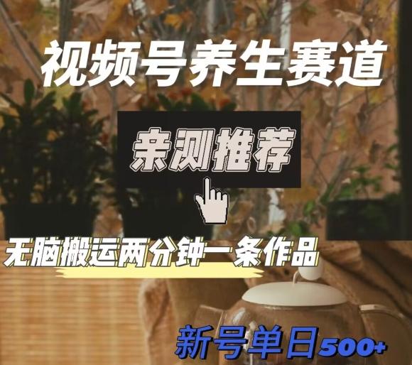视频号养生赛道暴力掘金，无脑搬运，两分钟一条作品-新日单入500+-瀚洪创业网