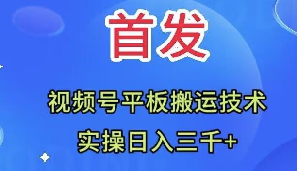 全网首发：视频号平板搬运技术，实操日入三千＋-瀚洪创业网