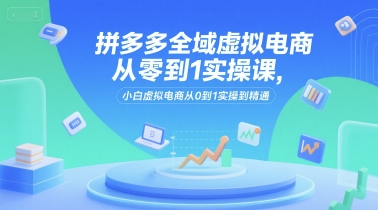 拼多多全域虚拟电商从零到1实操课，小白虚拟电商从0到1实操到精通-瀚洪创业网
