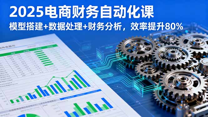 2025电商财务自动化课，模型搭建+数据处理+财务分析，效率提升80%-瀚洪创业网