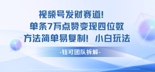 视频号发财赛道单条7W点赞变现四位数方法简单易复制小白玩法-瀚洪创业网