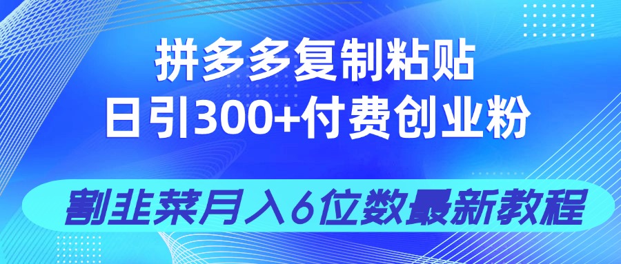 拼多多复制粘贴日引300+付费创业粉，割韭菜月入6位数最新教程！-瀚洪创业网
