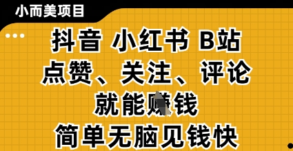 小而美的项目，抖音小红书B站视频点赞、关注、评论就能挣钱，简单无脑立见收益，妥妥的零撸项目【揭秘】-瀚洪创业网