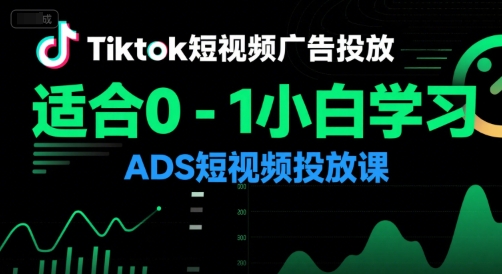 Tiktok短视频广告投放，适合0-1小白学习ADS短视频投放课-瀚洪创业网