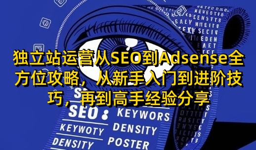 独立站运营从SEO到Adsense全方位攻略，从新手入门到进阶技巧，再到高手经验分享-瀚洪创业网