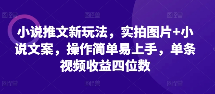 小说推文新玩法，实拍图片+小说文案，操作简单易上手，单条视频收益四位数-瀚洪创业网