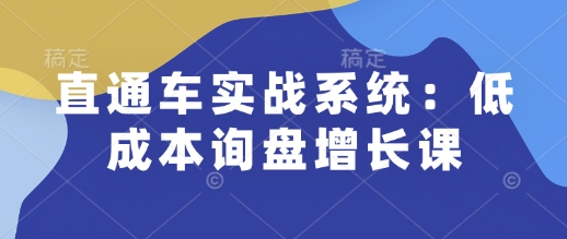 直通车实战系统：低成本询盘增长课，让个人通过技能实现升职加薪，让企业低成本获客，订单源源不断-瀚洪创业网
