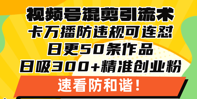 视频号混剪引流技术，500万播放引流17000创业粉，操作简单当天学会-瀚洪创业网