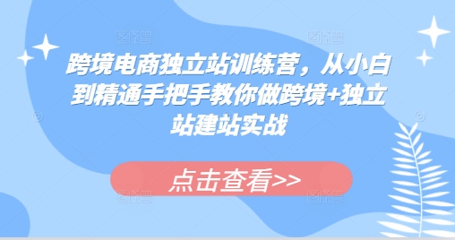 跨境电商独立站训练营,从小白到精通手把手教你做跨境+独立站建站实战