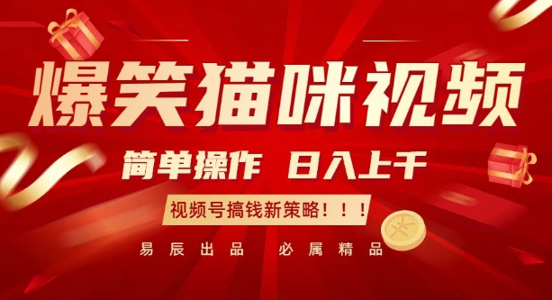 爆笑猫咪视频：简单操作，日入过K，视频号搞钱新策略【揭秘】-瀚洪创业网