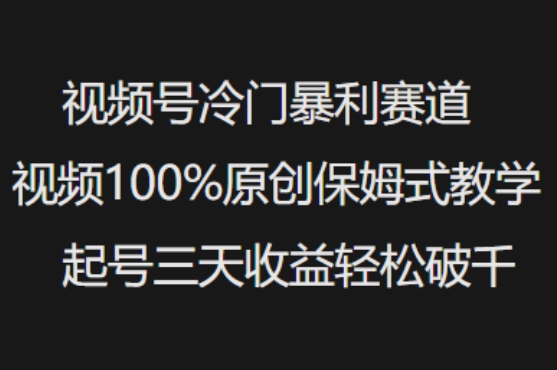 视频号冷门暴利赛道视频100%原创保姆式教学起号三天收益轻松破千-瀚洪创业网