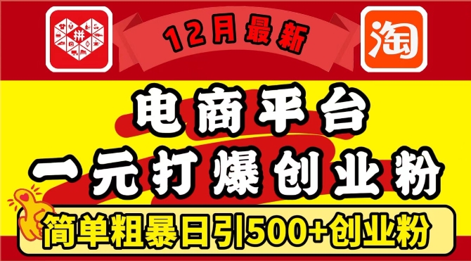 12月最新：电商平台1元打爆创业粉，简单粗暴日引500+精准创业粉，轻松月入过W【揭秘】-瀚洪创业网