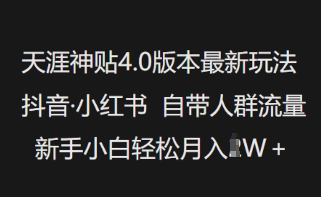 天涯神贴4.0版本最新玩法，抖音·小红书自带人群流量，新手小白轻松月入过W-瀚洪创业网