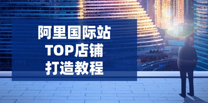 阿里国际站TOP店铺打造教程：涵盖平台到高阶，解决运营难题，提升询盘-瀚洪创业网