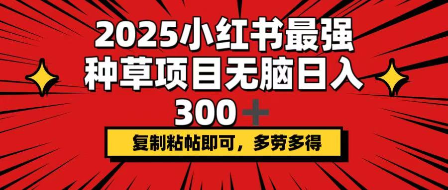 2025小红书最强种草项目，无脑日入300+，复制粘帖即可，多劳多得-瀚洪创业网