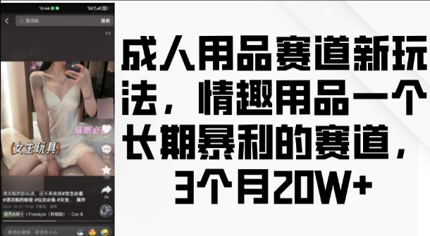 成人用品赛道新玩法，情趣用品一个长期暴利的赛道，3个月收益20个【揭秘】-瀚洪创业网