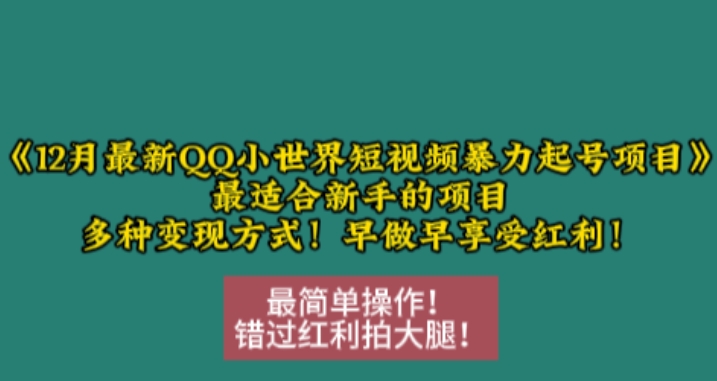 12月最新QQ小世界短视频暴力起号项目，最适合新手的项目，多种变现方式-瀚洪创业网