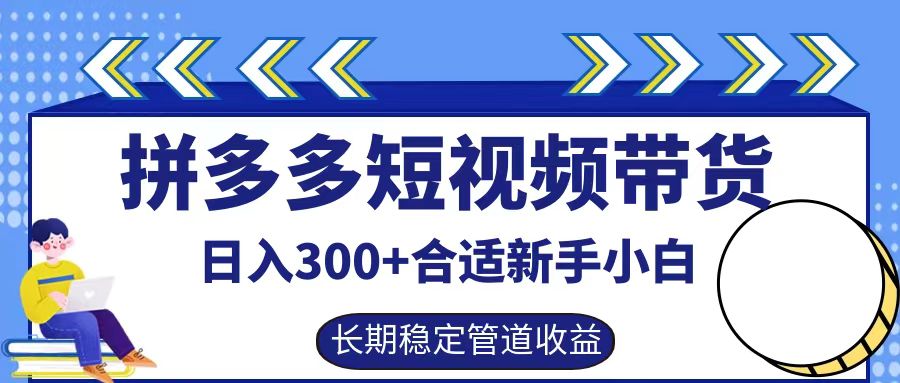 拼多多短视频带货日入300+，实操账户展示看就能学会-瀚洪创业网