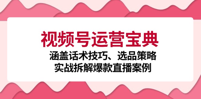 视频号运营宝典：涵盖话术技巧、选品策略、实战拆解爆款直播案例-瀚洪创业网