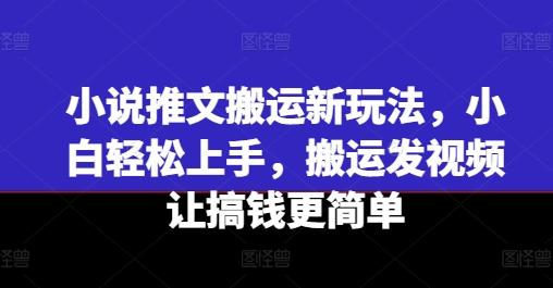 小说推文搬运新玩法，小白轻松上手，搬运发视频让搞钱更简单-瀚洪创业网