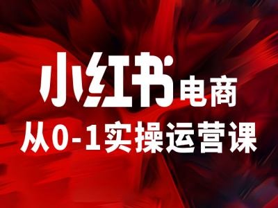 小红书电商从0-1实操运营课，让你从小白到精英-瀚洪创业网