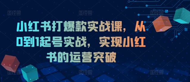 小红书打爆款实战课，从0到1起号实战，实现小红书的运营突破-瀚洪创业网