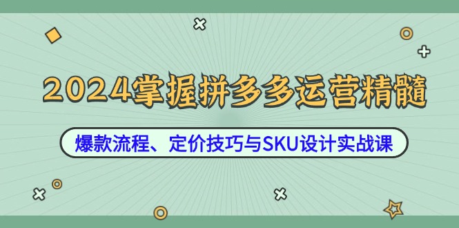 2024掌握拼多多运营精髓：爆款流程、定价技巧与SKU设计实战课-瀚洪创业网