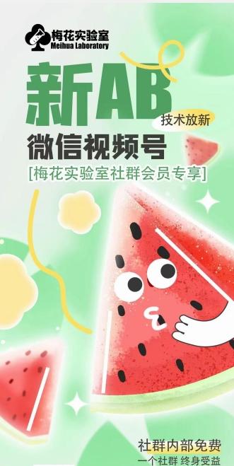 梅花实验室2024年AB技术视频号AB合成破解版-瀚洪创业网