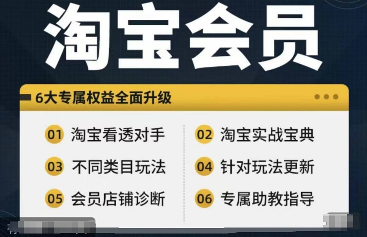 淘宝会员【淘宝所有课程，全面分析对手】，初级到高手全系实战宝典-瀚洪创业网