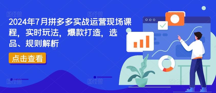 2024年7月拼多多实战运营现场课程，实时玩法，爆款打造，选品、规则解析-瀚洪创业网