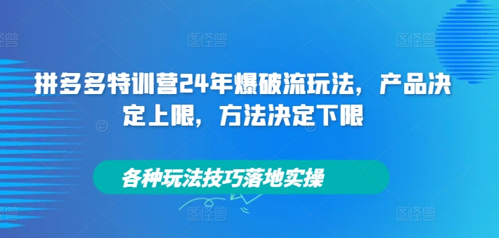 拼多多特训营24年爆破流玩法，产品决定上限，方法决定下限，各种玩法技巧落地实操-瀚洪创业网