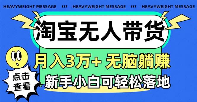 淘宝无人带货3.0高收益玩法，月入3万+，无脑躺赚，新手小白可落地实操-瀚洪创业网