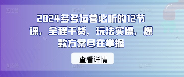 2024多多运营必听的12节课，全程干货，玩法实操，爆款方案尽在掌握-瀚洪创业网