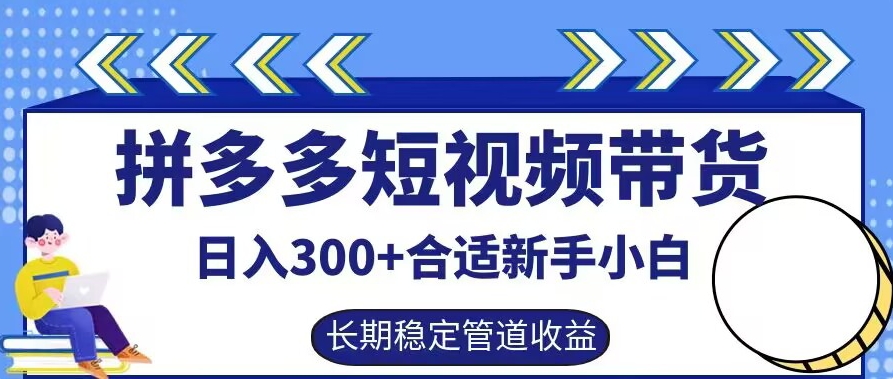 拼多多短视频带货日入300+有长期稳定被动收益，合适新手小白【揭秘】-瀚洪创业网