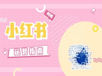 小红书运营指南，没有套路，全是经验-瀚洪创业网