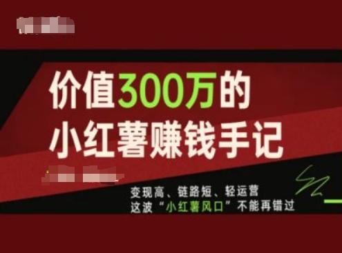 价值300万的小红书赚钱手记，变现高、链路短、轻运营，这波“小红薯风口”不能再错过-瀚洪创业网