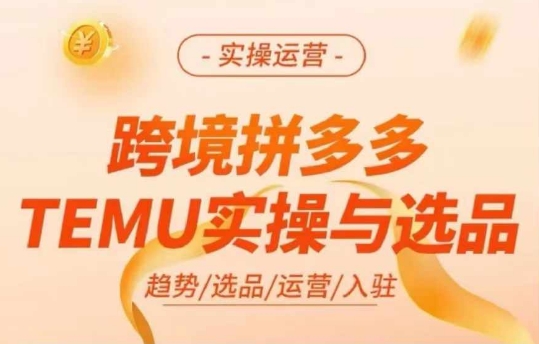 跨境拼多多TEMU实操与选品，多多temu跨境选品运营实操-瀚洪创业网