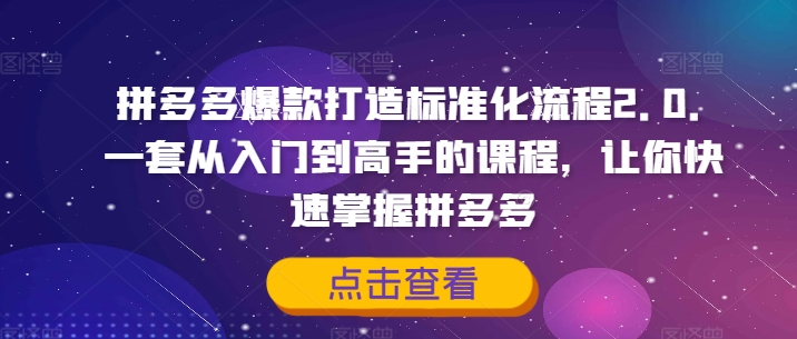 拼多多爆款打造标准化流程2.0，一套从入门到高手的课程，让你快速掌握拼多多-瀚洪创业网