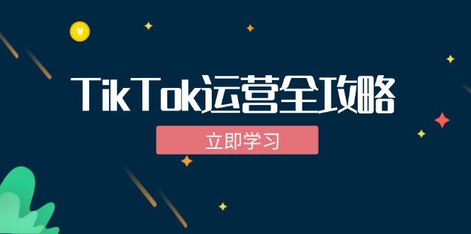 TikTok实战运营全攻略：从下载软件到变现，抖音海外版实操教程-瀚洪创业网