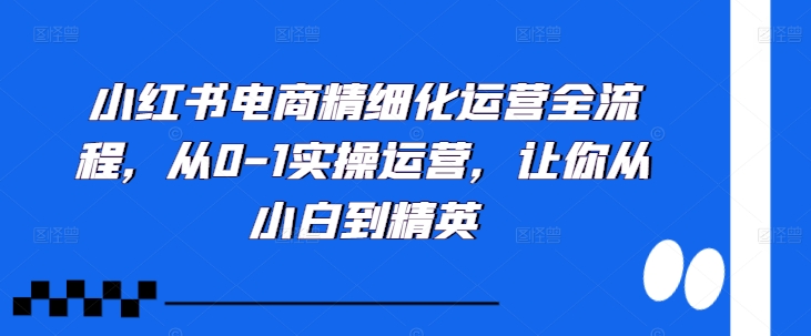 小红书电商精细化运营全流程，从0-1实操运营，让你从小白到精英-瀚洪创业网