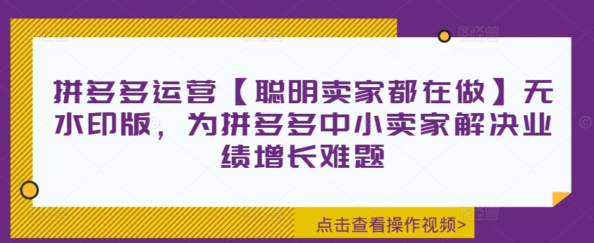 拼多多运营【聪明卖家都在做】无水印版，为拼多多中小卖家解决业绩增长难题-瀚洪创业网