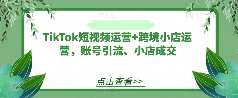 TikTok短视频运营+跨境小店运营，账号引流、小店成交-瀚洪创业网